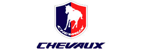 C158-Chevaux-(1)-1.jpg